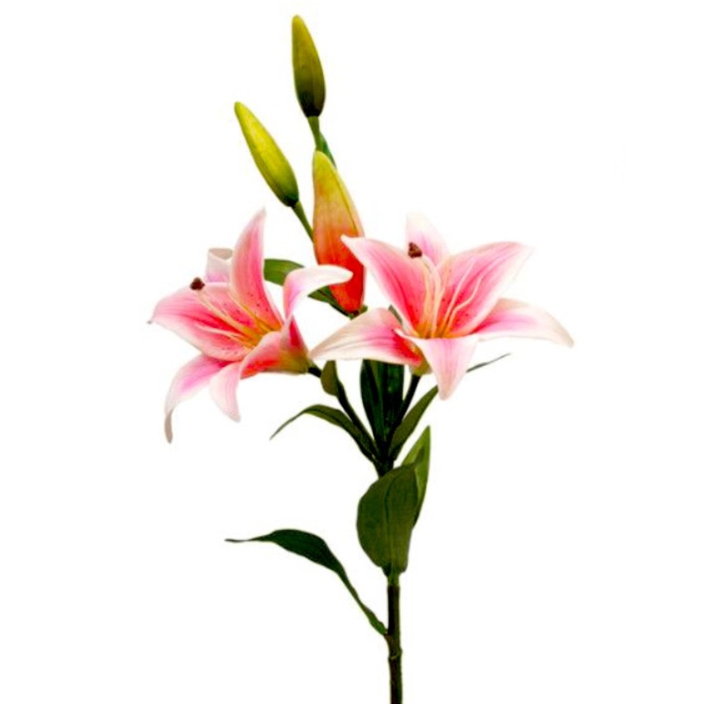 Meet your Posher, Cate